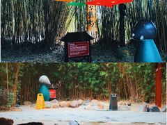 -森波拉火山温泉