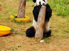 -大连森林动物园