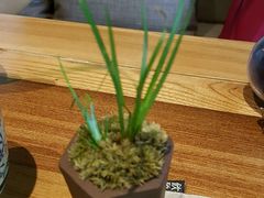 -竹里馆 ·茶食(奥体店)