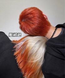 -藤野造型烫发染发