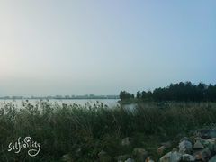 -上海海湾国家森林公园