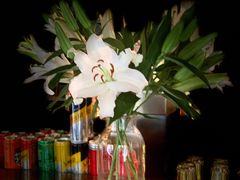 -Geneva日内瓦餐厅(西郊宝成花苑店)