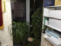 -苗方清颜专业祛痘连锁机构