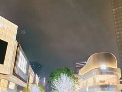 -东莞松山湖万象汇