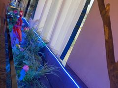 -8号厚厨(凤凰店)