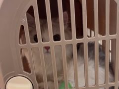 -北京观赏动物医院·24小时大型综合·猫专科·异宠专科