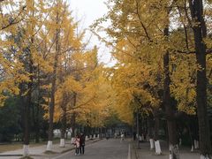 -四川大学(望江校区)