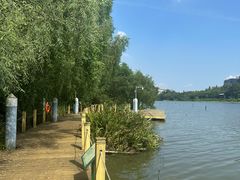 -华侨城湿地公园