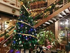 -猫屎咖啡(陶溪川店)