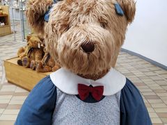 -济州岛泰迪熊博物馆