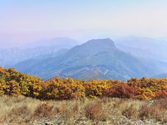 -白草畔自然风景区