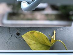 -亲贤打卤面(八一街店)