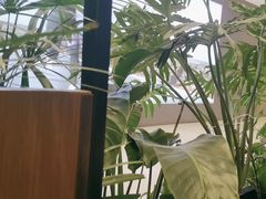 -THE WOODS 简餐 (国贸商城店)