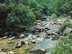 -广州白江湖森林公园