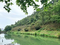 -桃花岭景区