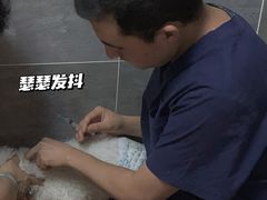 -美联众合宠物医院·爱萌分院·内外科·猫科中心