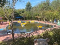 -西部长青自然儿童乐园