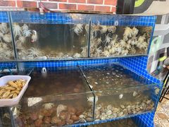 水产区-蟹谢蒸鲜自助餐厅