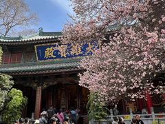-盘龙寺