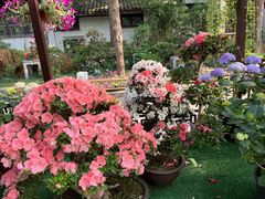 -惠山古镇·寄畅园