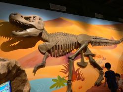 -北京科学中心儿童乐园