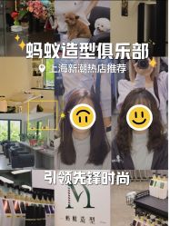 -蚂蚁造型俱乐部