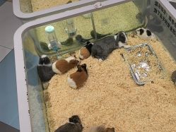 -meland亲子乐园•派对•研学(苏州悠方购物中心店)