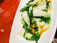 油渣奶白菜-京味张·北京烤鸭(天河南二路店)
