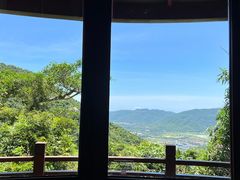 -三亚亚龙湾人间天堂鸟巢度假村