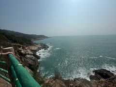 -广东惠东海龟国家级自然保护区