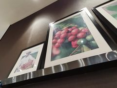 -哈根达斯(石家庄北国店)