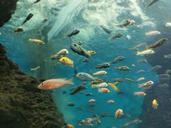 -石家庄海洋公园