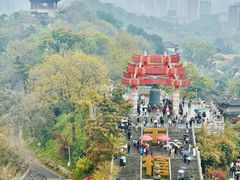 -黄鹤楼公园(黄鹤楼)