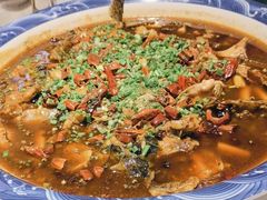 -新概念来凤鱼(璧山店)