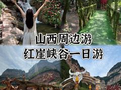 -红崖峡谷景区