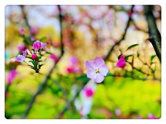 -大宁灵石公园西门票处