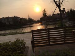 绿城玫瑰园度假酒店-上海玫瑰园度假酒店