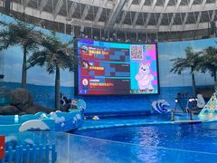 -海合安成都极地海洋公园
