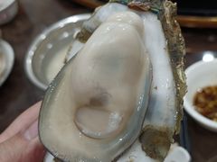 -蚝专家(北滘店)