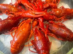 -红盔甲·小龙虾(人民广场店)