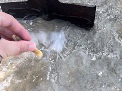 -红树林天天赶海