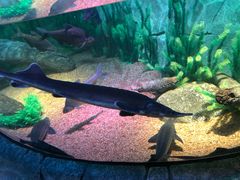 -沈阳海洋探索中心