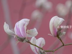 -东华门大街小区