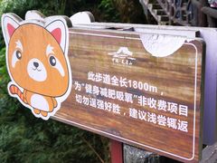 -瓦屋山景区