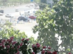 -阿斯牛牛·凉山菜(新会展店)