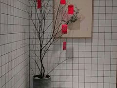 -花悦豆香