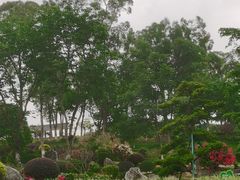 -东莞植物园