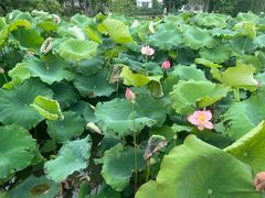 -丝绸小镇荻港古村