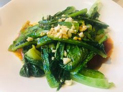 -看见远方·莫干遥远的山民宿