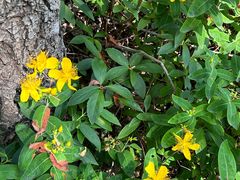 -宜兴龙背山森林公园